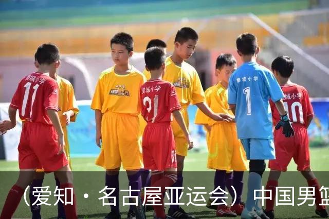 （爱知·名古屋亚运会）中国男篮无缘爱知·名古屋亚运会决赛
